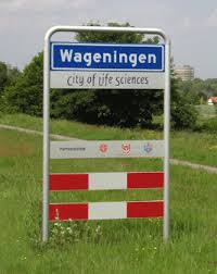 Een goede stukadoor in Wageningen